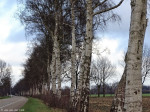 Gravenlandweg